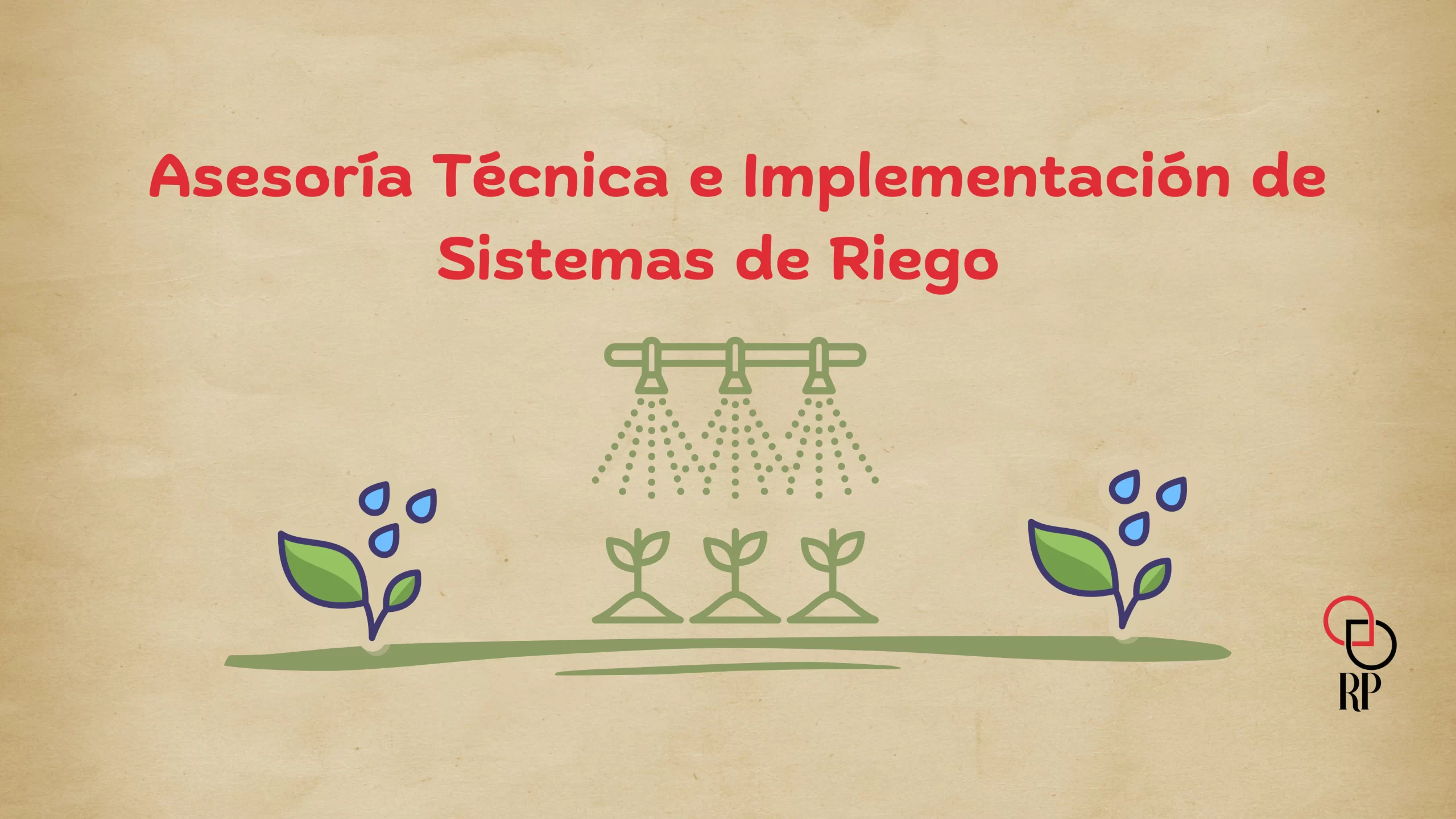Nuestros Servicios